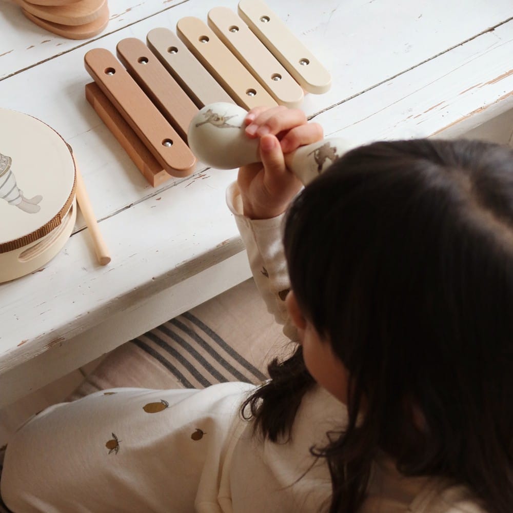 Set musical (4 instruments) (Konges Slojd) - Couverture
