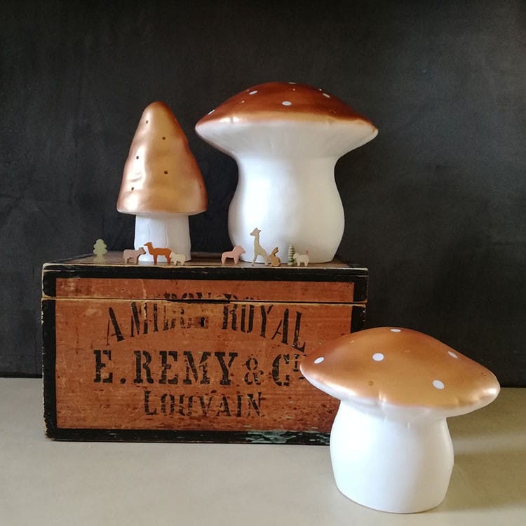 Lampe veilleuse champignon Cuivré (Egmont Toys) - Couverture