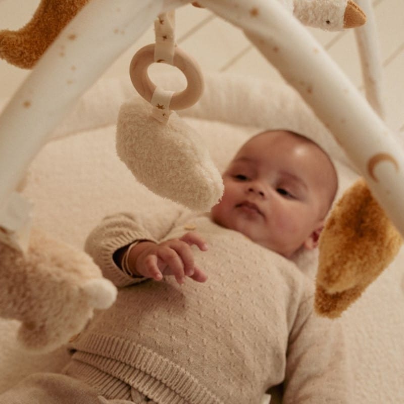 Tapis d'activités avec arches newborn (Little Dutch) - Couverture