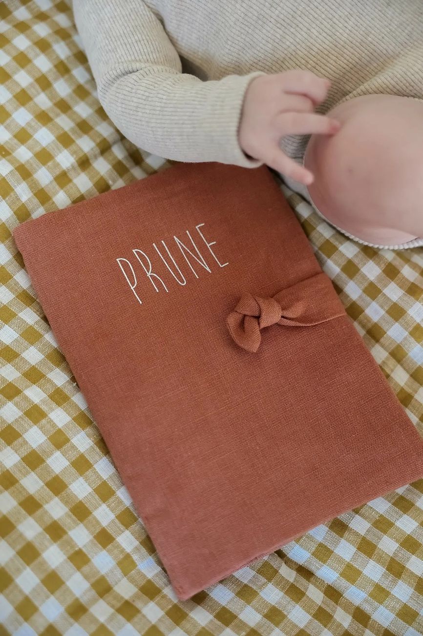 Barnabé le protège carnet de santé (Petit Picotin) - Couverture