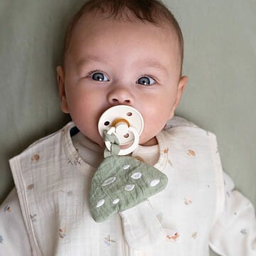 Doudou Attache Sucette Champignon Forest Friends - Vert (Little Dutch) - Couverture