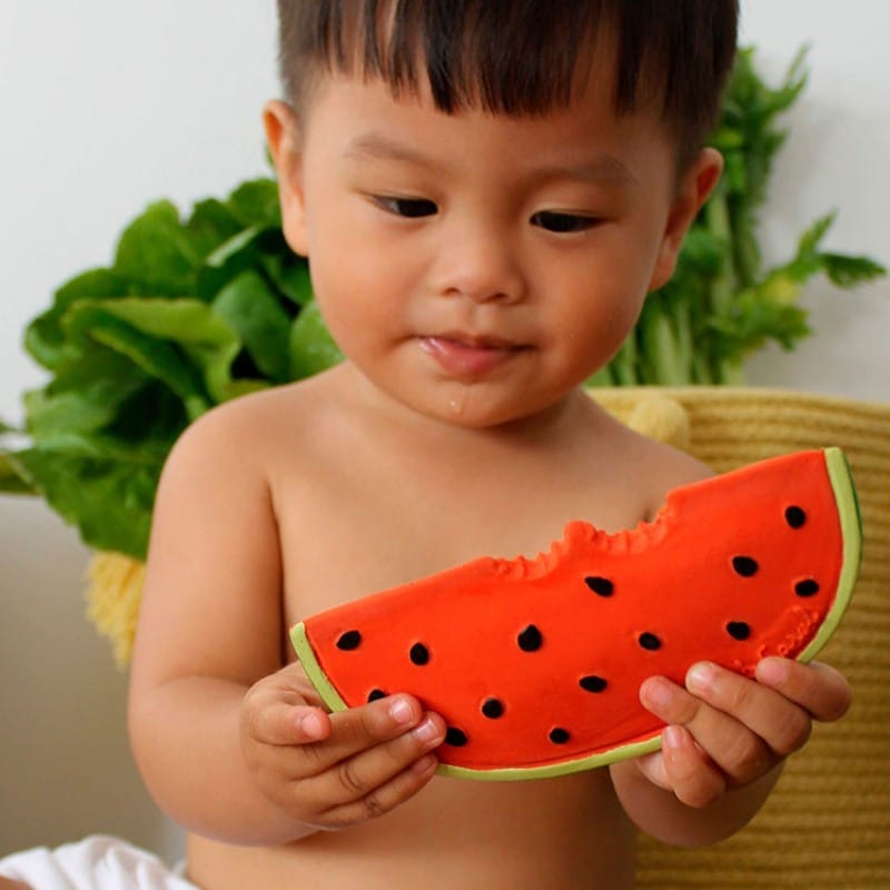 Wally la pastèque en latex d'hévéa (Oli and Carol) - Couverture