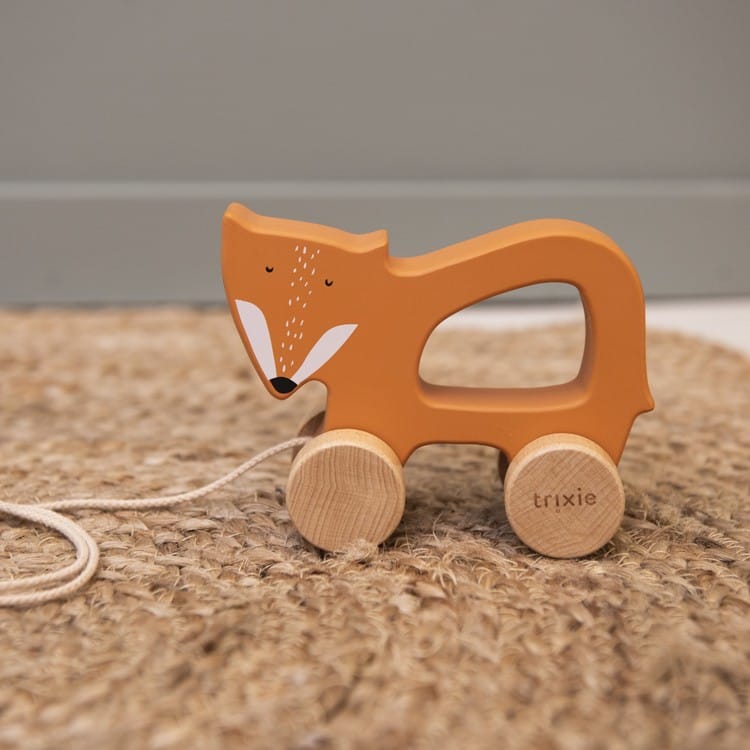 Jouet à tirer en bois - mr fox (Trixie) - Couverture