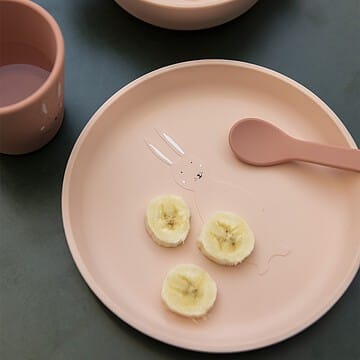 Assiette silicone (Trixie) - Couverture