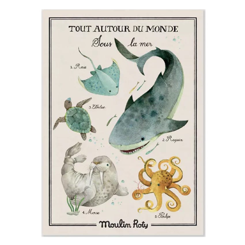 Affiche Sous la Mer Tout Autour du Monde - 70 x 50 cm (Moulin Roty) - Couverture