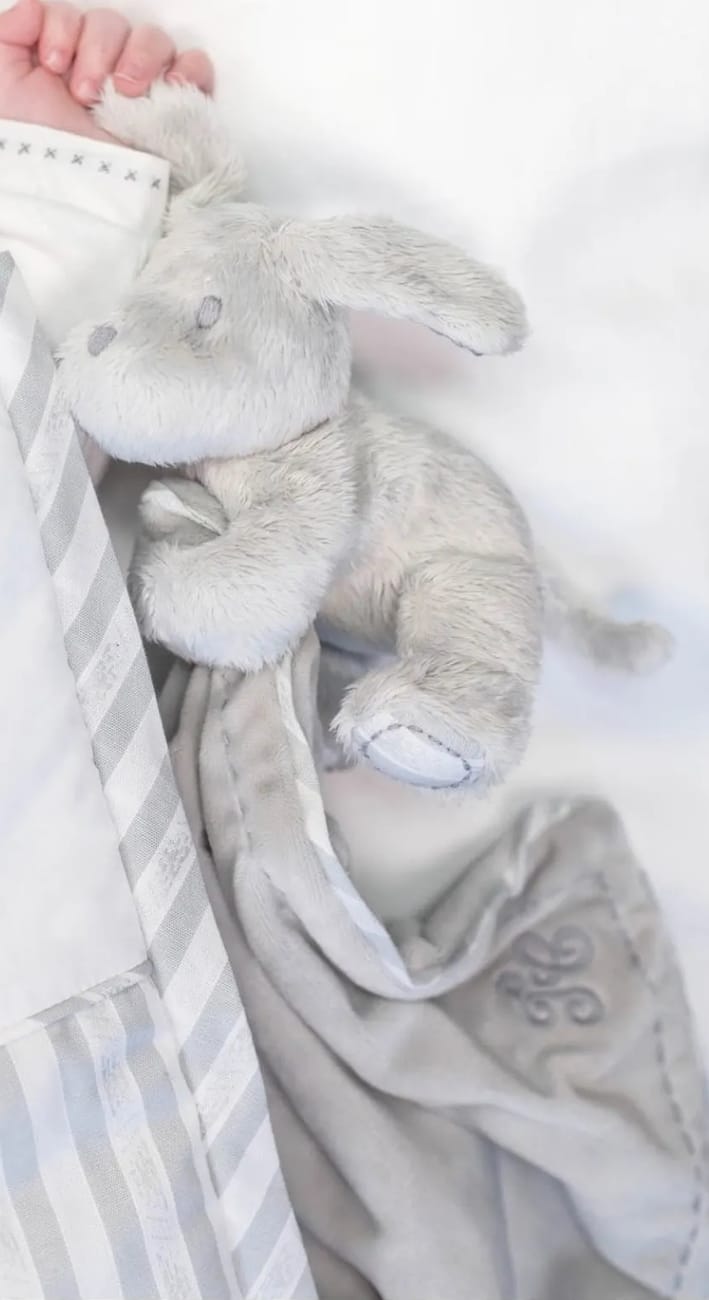 Doudou plat Lucien le chien gris (Tartine et Chocolat) - Couverture