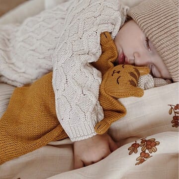 Doudou Plat Tricoté Tigre (Main Sauvage) - Couverture