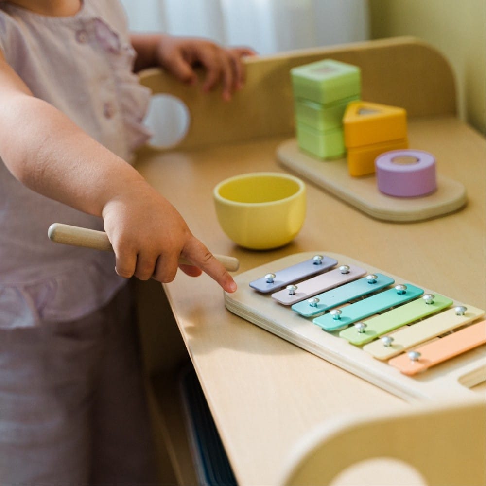 Petite Amélie | Coffret de jeux Montessori | Jeu d'éveil éducatif en bois et silicone | 16-18 mois | Kit complet pour le développement de l'enfant (Petite Amélie) - Couverture