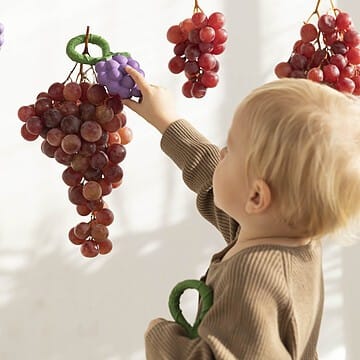 Hochet Grappe de Raisin (Oli and Carol) - Couverture