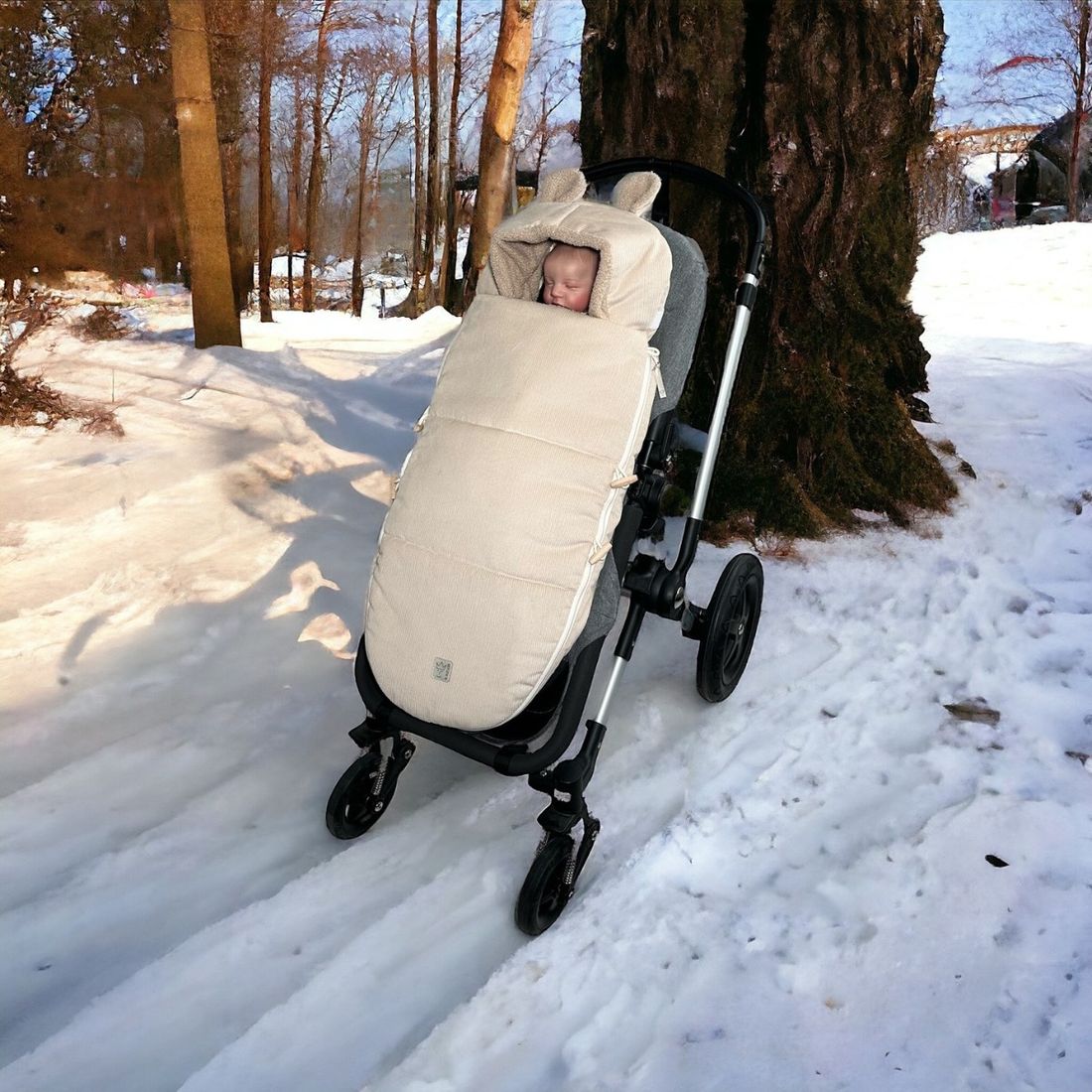 Chancelière d'hiver Hau Kea sand shell (Kaiser) - Couverture