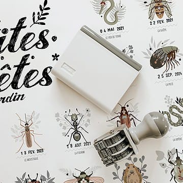 Affiche Les Petites Bêtes du Jardin - 50 x 40 cm (Les Petites Dates) - Couverture