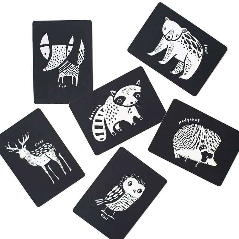 Cartes imagier animaux - animaux forêt (WEE GALLERY) - Couverture