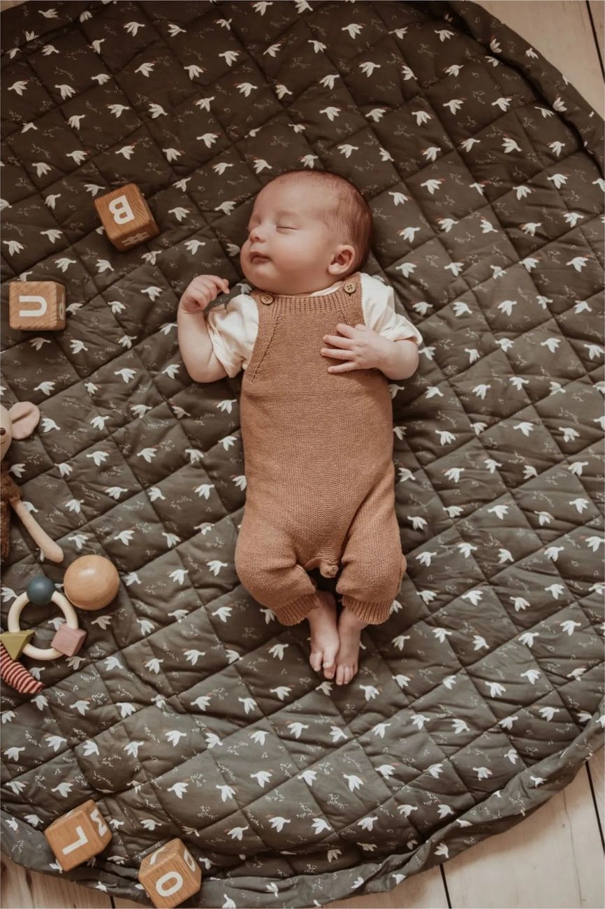 Play and Go - Sac / Tapis d'éveil Noomad - Oiseaux (Play and Go) - Couverture