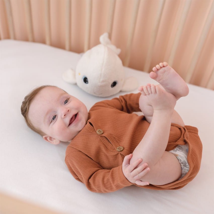 Béluga peluche veilleuse & bruits blancs - Blanc (Pabobo) - Couverture