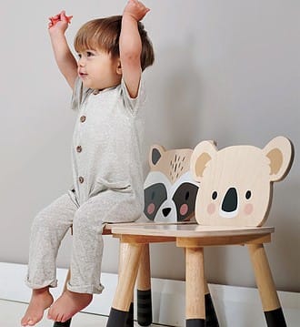 Chaise Forêt Raton Laveur (Tender Leaf Toys) - Couverture