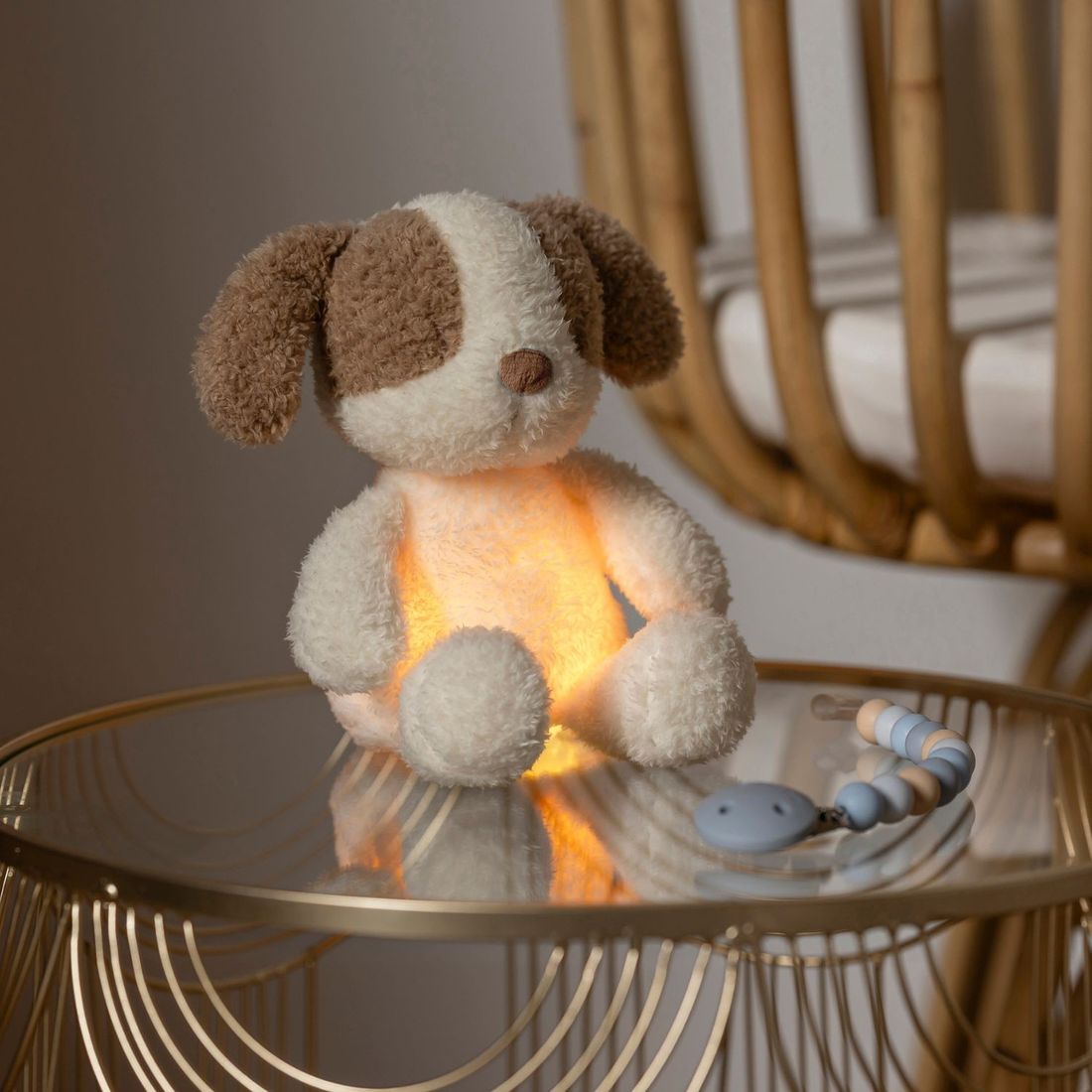 Peluche veilleuse Chien (25 cm) (Nattou) - Couverture