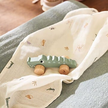 Jouet à Roulettes en Bois - Jungle Jambo Crocodile (Jollein) - Couverture