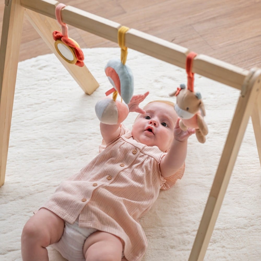 Mila, Zoé & Lana Arche en Bois avec Jouets (Nattou) - Couverture