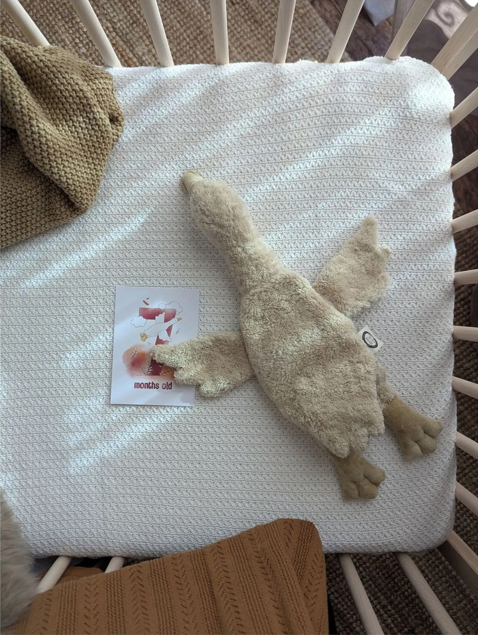 Senger Naturwelt - Peluche bouillote Oie (Senger Naturwelt) - Couverture