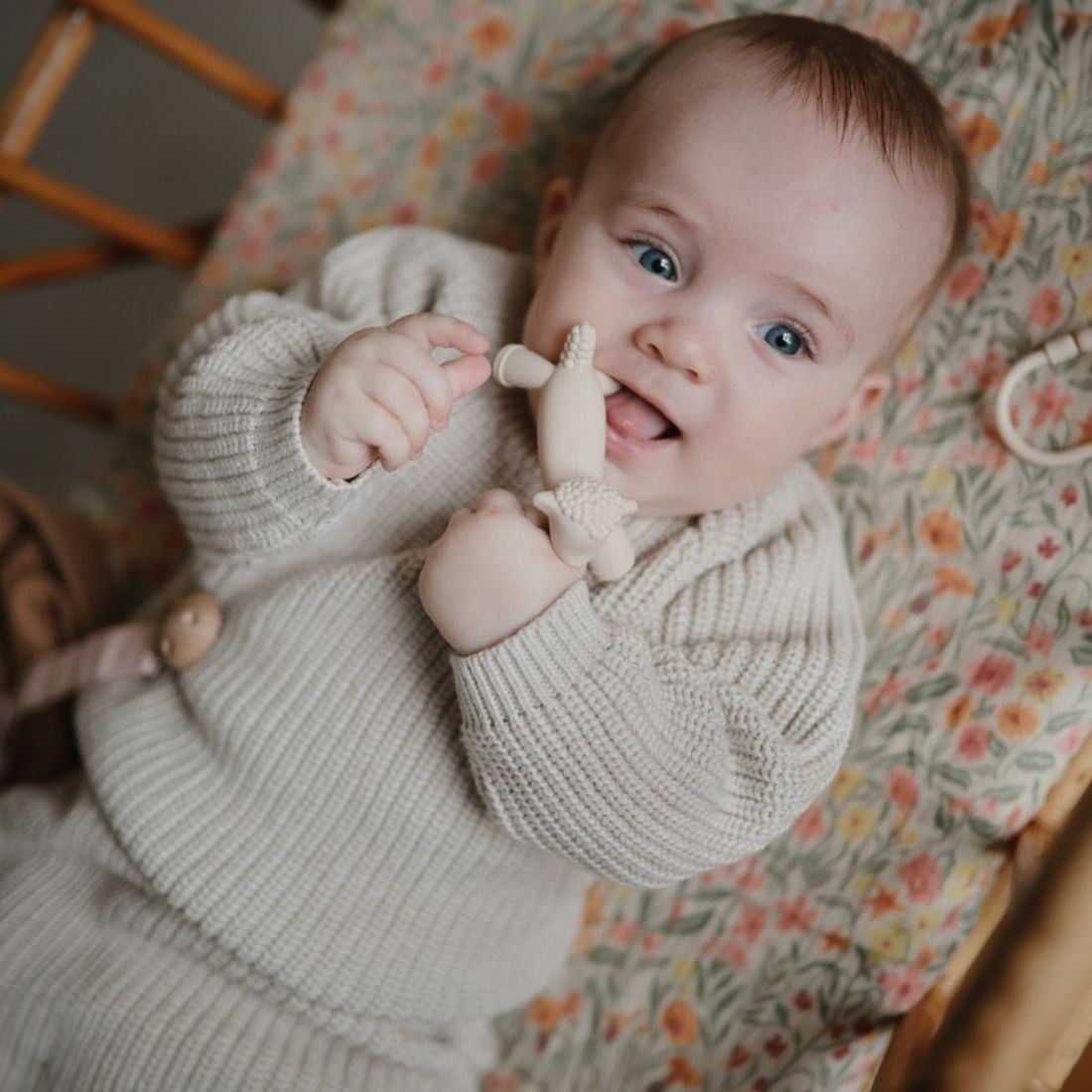 Jouet de dentition Figurine Lamb (Mushie) - Couverture