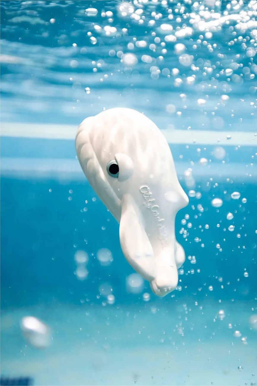 Oli & Carol - Jouet pour le bain Walter la baleine (Oli & Carol) - Couverture