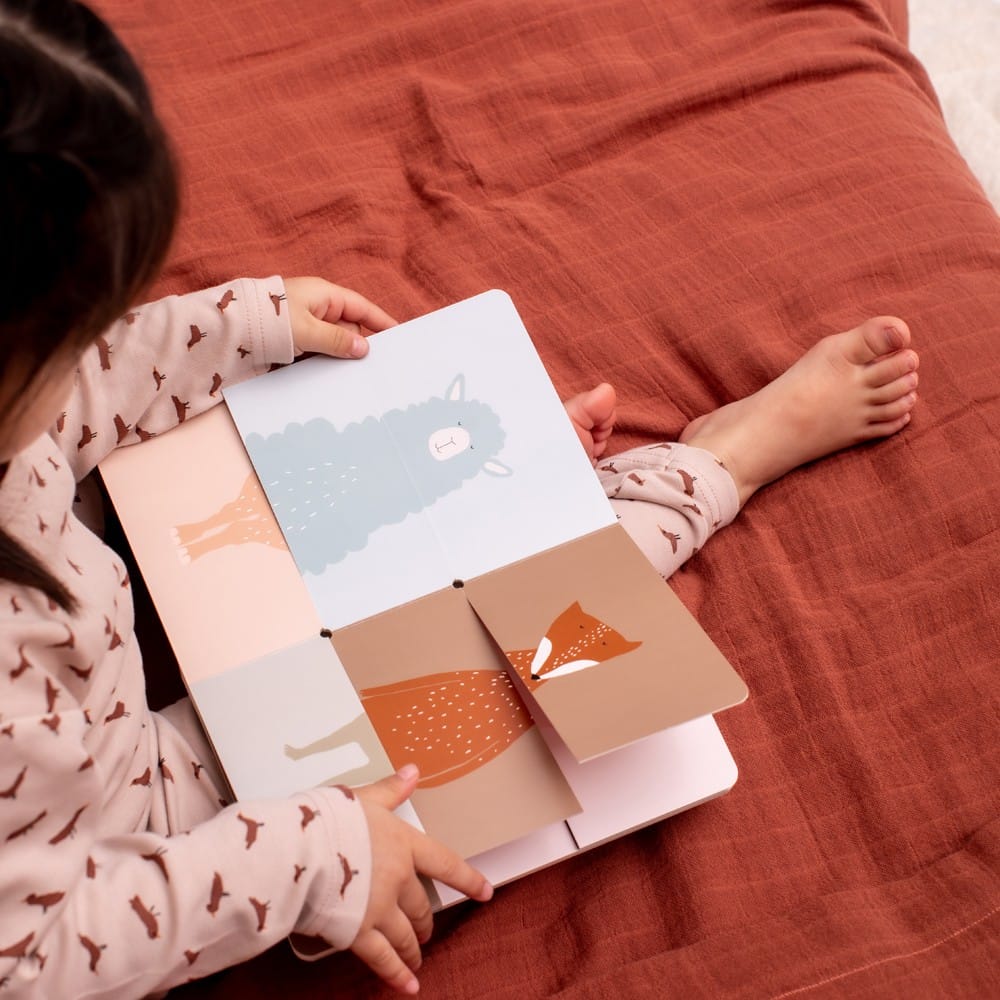 Livre Flip-Flap (Trixie) - Couverture