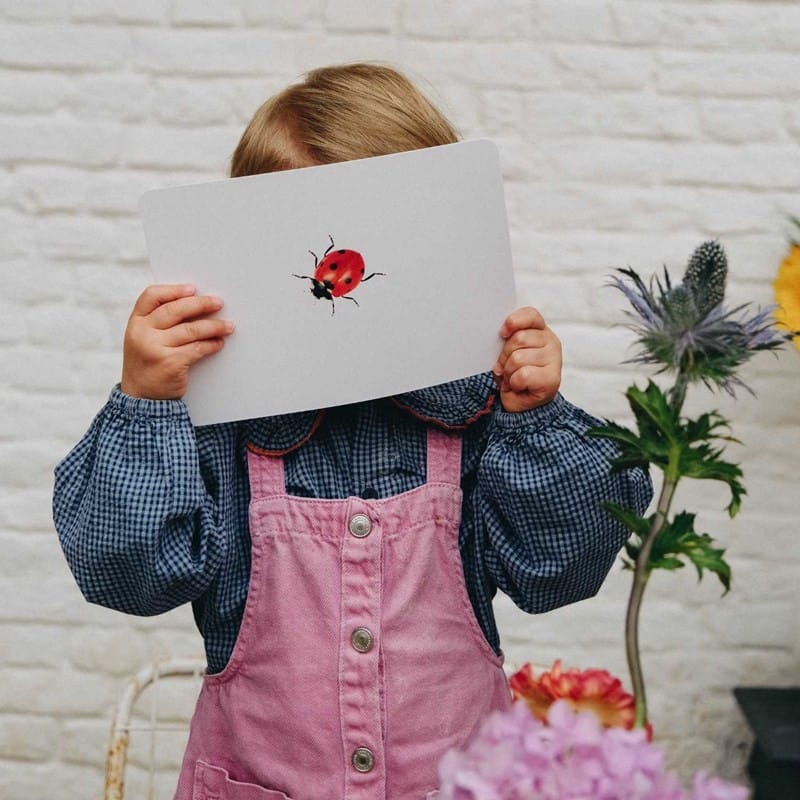 Mondy des curieux - 45 cartes bilingues autour de la nature (Observe Montessori) - Couverture