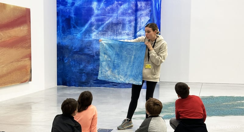 Museum d'Histoire Naturelle de Tours, activité à faire en famille à Tours