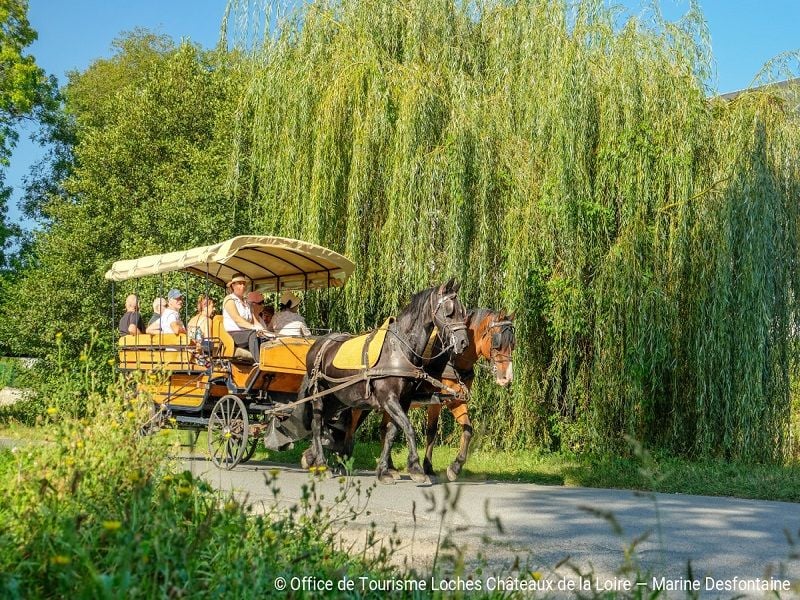 calèche Loches et Beaulieu-lès-Loches