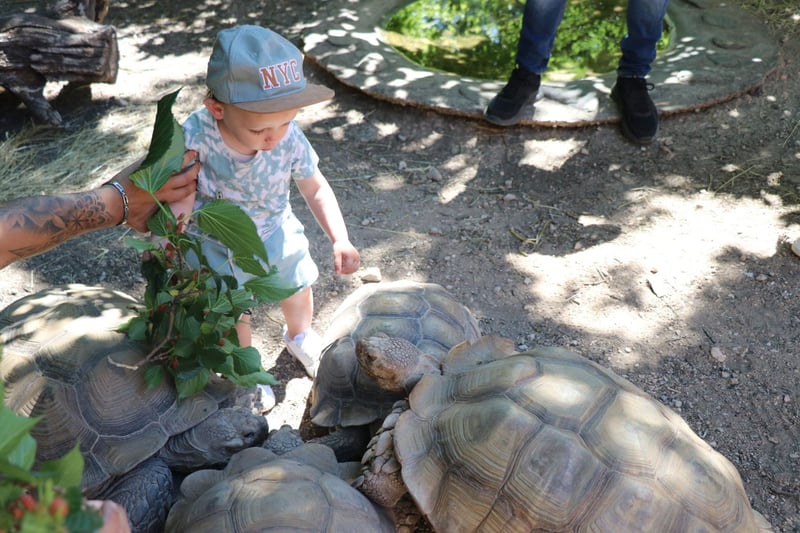Le reptilarium du Larzac