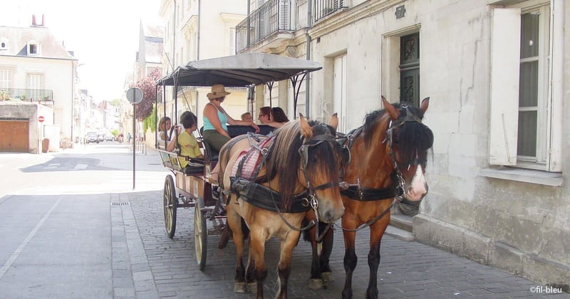 Balade en calèche à Tours, activité pour toute la famille